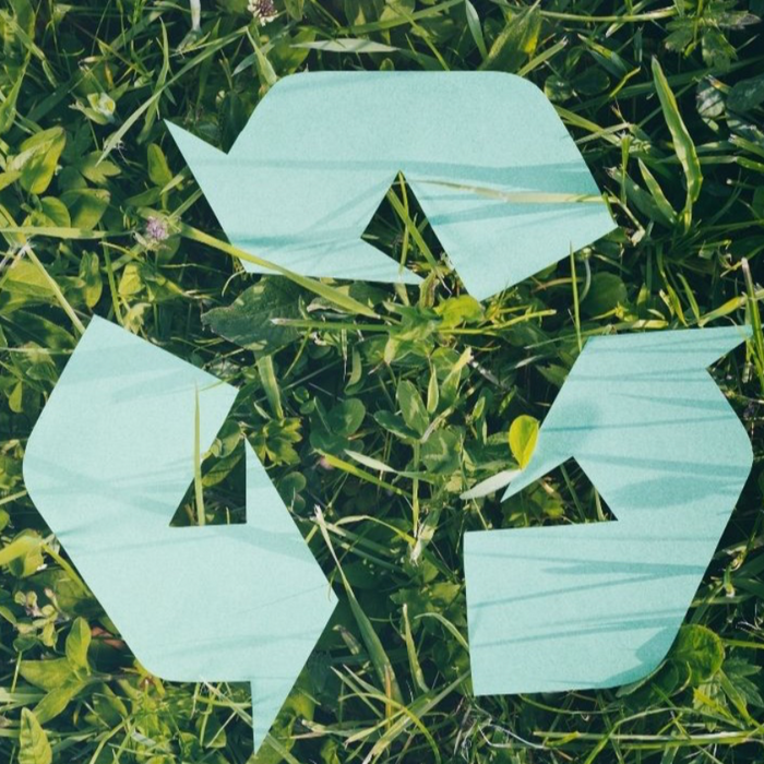 The 5 R's - Reduce, Reuse, Recycle, Return...Reimagine